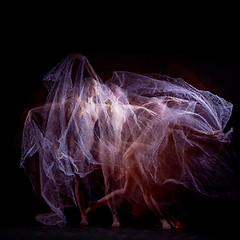 Image showing The sensual and emotional dance of beautiful ballerina