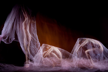 Image showing The sensual and emotional dance of beautiful ballerina