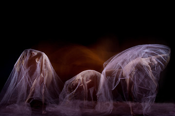 Image showing The sensual and emotional dance of beautiful ballerina