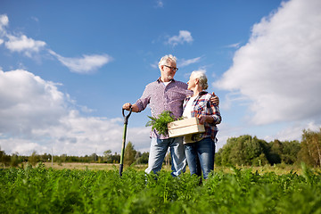 Image showing senior couple with shovel picking carrots on farm