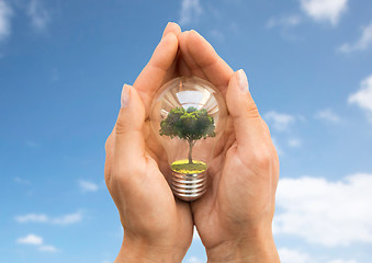 Image showing hands holding light bulb with tree inside over sky