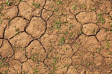 Image showing Dry Soil Texture