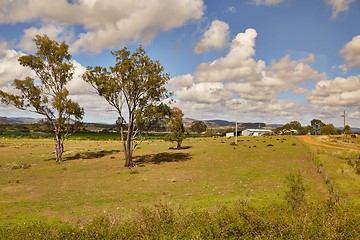 Image showing Fields of Australian wild landscape
