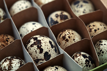 Image showing Carton box with quail eggs