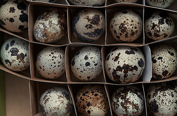 Image showing Carton box with quail eggs