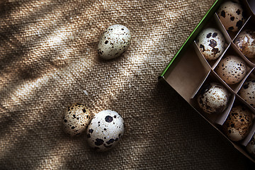 Image showing Quail eggs in carton box on a sackcloth