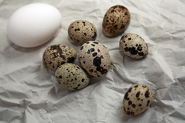Image showing Chicken and quail eggs