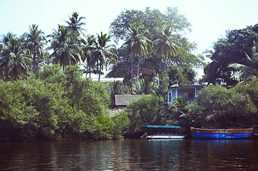 Image showing Fishing boats at the pier in palm jungles