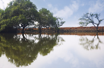 Image showing Trees reflected in the water