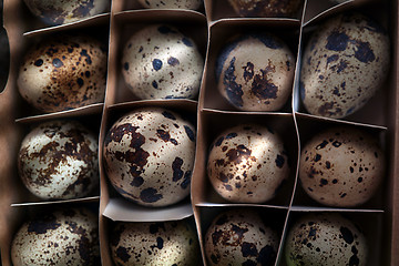 Image showing Carton box with quail eggs