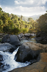 Image showing Indian jungle with shallow river between stones