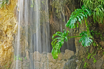 Image showing Cave, waterfall and aquatic plant in Parque Genoves, Cadiz, Andalusia, Spain