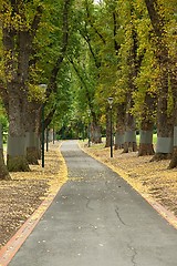 Image showing Green park with trees