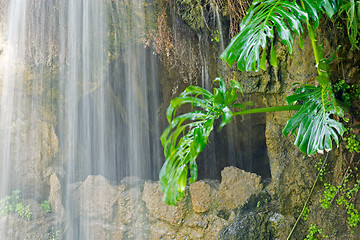 Image showing Cave, waterfall and aquatic plant in Parque Genoves, Cadiz, Andalusia, Spain