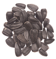 Image showing sunflower seeds