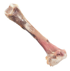 Image showing chicken bone