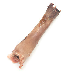 Image showing chicken bone