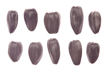 Image showing sunflower seeds