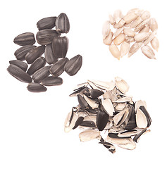 Image showing sunflower seeds