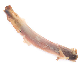 Image showing chicken bone
