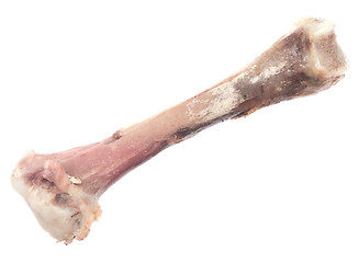 Image showing chicken bone