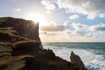 Image showing Cliffs and ocean on Reykjanes peninsula in Iceland