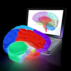 Image showing creative three-dimensional model of real human brain and scan on