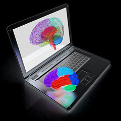 Image showing creative three-dimensional model of real human brain and scan on