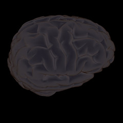 Image showing 3D illustration of human brain