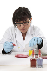 Image showing Scientist chemist at work