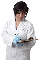 Image showing Doctor or scientist holding clipboard