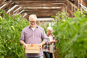 Image showing old couple with box of tomatoes at farm greenhouse