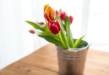 Image showing close up of tulip flowers