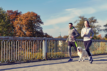 Image showing happy couple with dog running outdoors