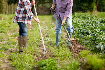 Image showing senior couple with shovels at garden or farm