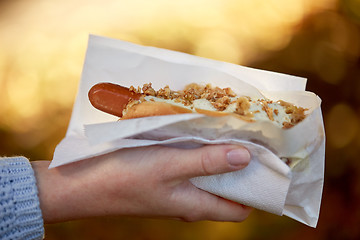 Image showing close up of hand with hot dog