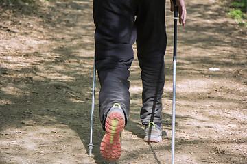 Image showing Man walking cross country and trail in forest