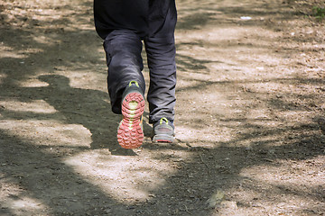 Image showing Man walking cross country and trail in forest