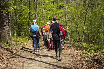 Image showing Group of people walking by hiking trail