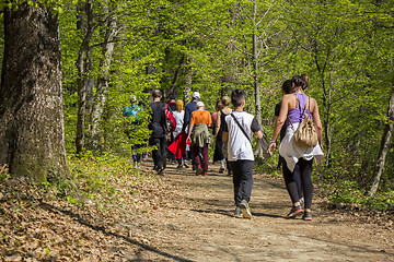 Image showing Group of people walking by hiking trail