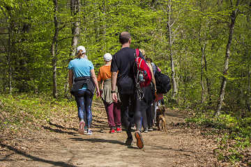 Image showing Group of people walking by hiking trail