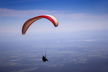 Image showing Paraglider flies in the blue summer sky