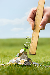 Image showing Coins on grass