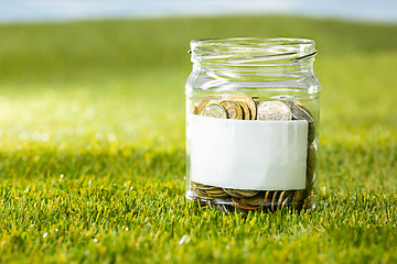 Image showing Plant growing in Coins glass jar for money on green grass