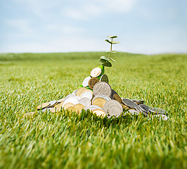 Image showing Coins on grass