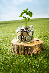 Image showing Plant growing in Coins glass jar for money on green grass