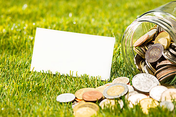 Image showing The coins at glass jar for money on green grass