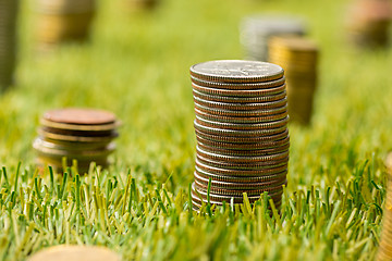 Image showing The columns of coins on grass