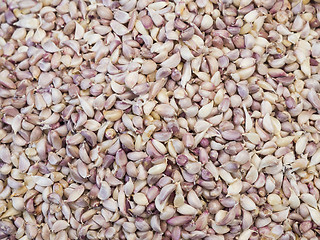 Image showing Cloves of garlic at a market