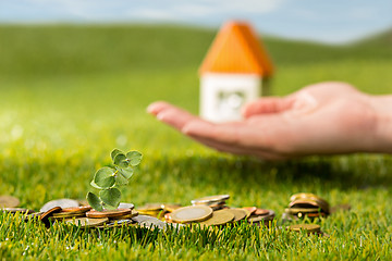 Image showing Plant growing in Coins glass jar for money on green grass